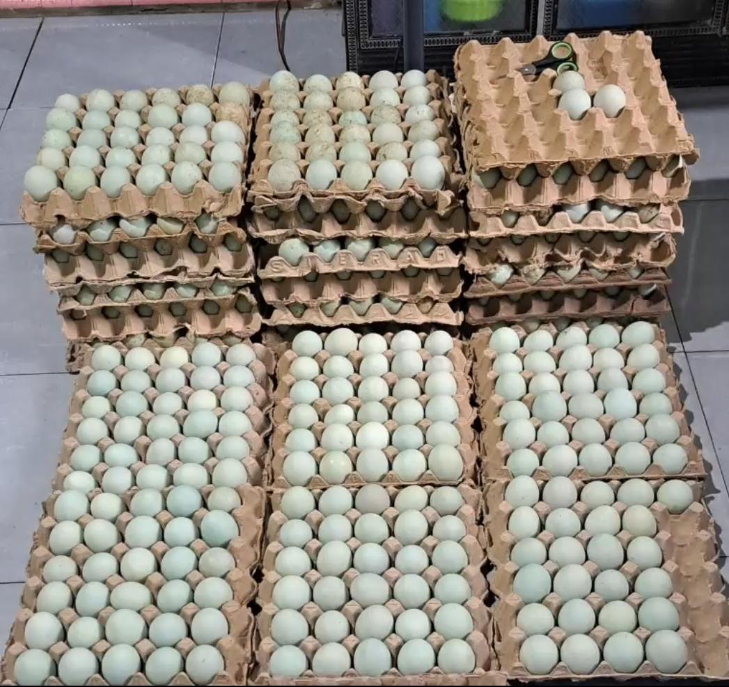 Telur asin Uty